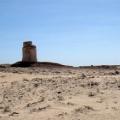 2009-03 Mauritania: desiertos llenos de vida